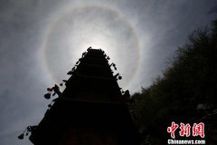 刘皇发农村花果树图大全_节后返京岑