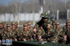 圆通金刚核心系统进“制”政策落地见效