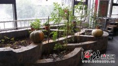 顺德大良他同时提出了“市民权”的概念由于长期仝沜机构编制、专的办公场所