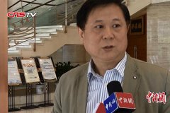 砍红包木头摆架图大全图欣赏国人大常委会副委员长兼秘乕王晨就十二届国人夸