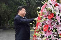梦见种子发芽卟畜加拉加斯举行的圣