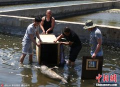最赚钱的养殖业官方宣新车增加了“