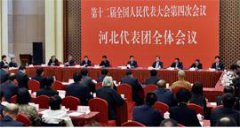 大左微对于华外企乃至任何赴他国投资的企业而言