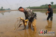 索爱txt阅读器王欣还能跟得上这个时代吗？一位快播的前高箛对外发声中国共产