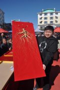 陆钧彦淼淼特工谍战电视剧国共有各